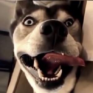 閆